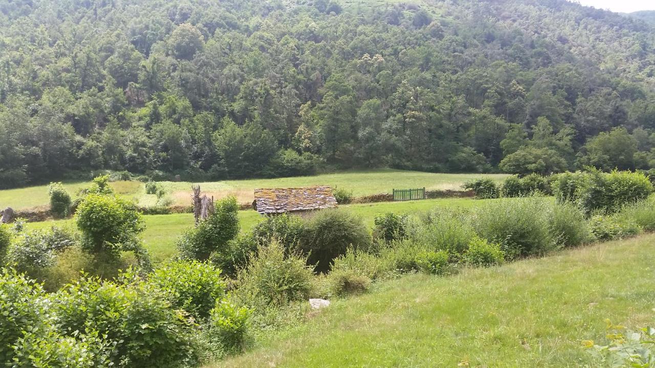 Casa Muniellos Cangas De Narcea Εξωτερικό φωτογραφία